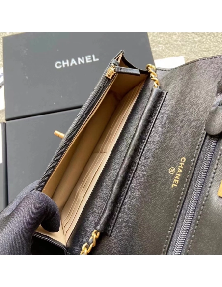 Chanel Bags Bags AP1450 19X13X4cm