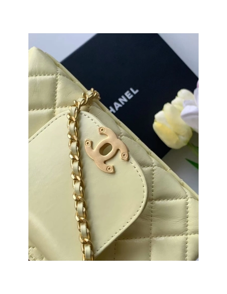 Chanel Kelly Bags AS4416 19X13X7cm,Chanel Bags