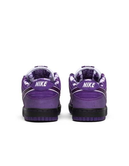 CONCEPTS X DUNK LOW SB PURPLE LOBSTER,Dunk SB,NIKE SHOES Reps