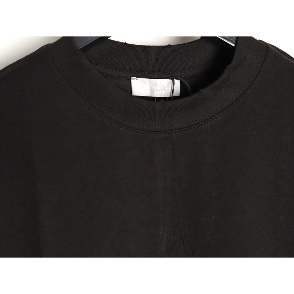 Dior gradient letter round neck short sleeve T-shirt TSK1,Dior