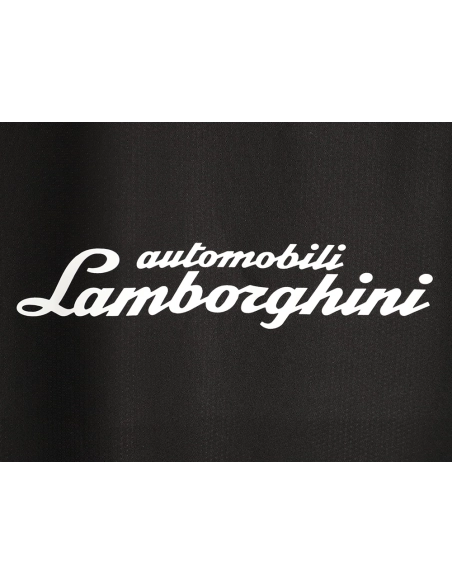 Balenciaga Lamborghini collaboration short-sleeved T-shirt,Balenciaga
