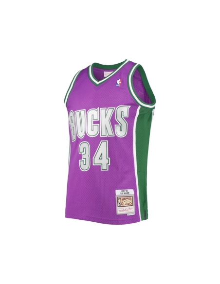 Mens Milwaukee Bucks Ray Allen Purple 2001 02 Hardwood Classics Swingman Jersey,Milwaukee Bucks,NBA,JERSEY with free shipping