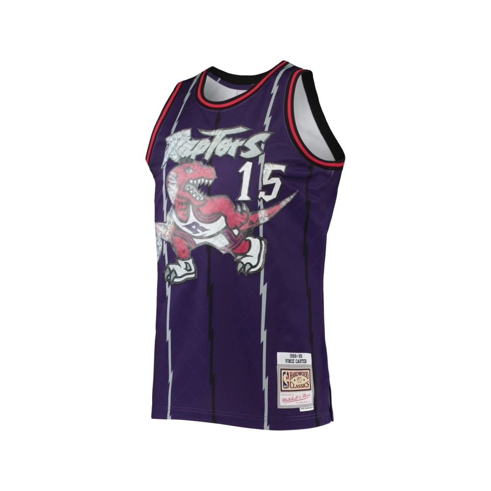 Mens Toronto Raptors Vince Carter Purple 1998 99 Hardwood Classics NBA 75th Anniversary Diamond Swingman Jersey,Toronto Raptors,
