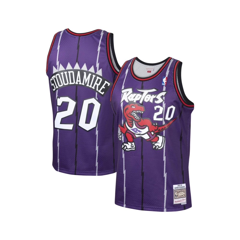 Mens Toronto Raptors Damon Stoudamire Purple 1995 96 Hardwood Classics Swingman Jersey,Toronto Raptors,NBA,JERSEY with free ship