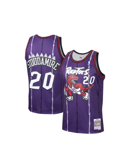 Mens Toronto Raptors Damon Stoudamire Purple 1995 96 Hardwood Classics Swingman Jersey,Toronto Raptors,NBA,JERSEY with free ship