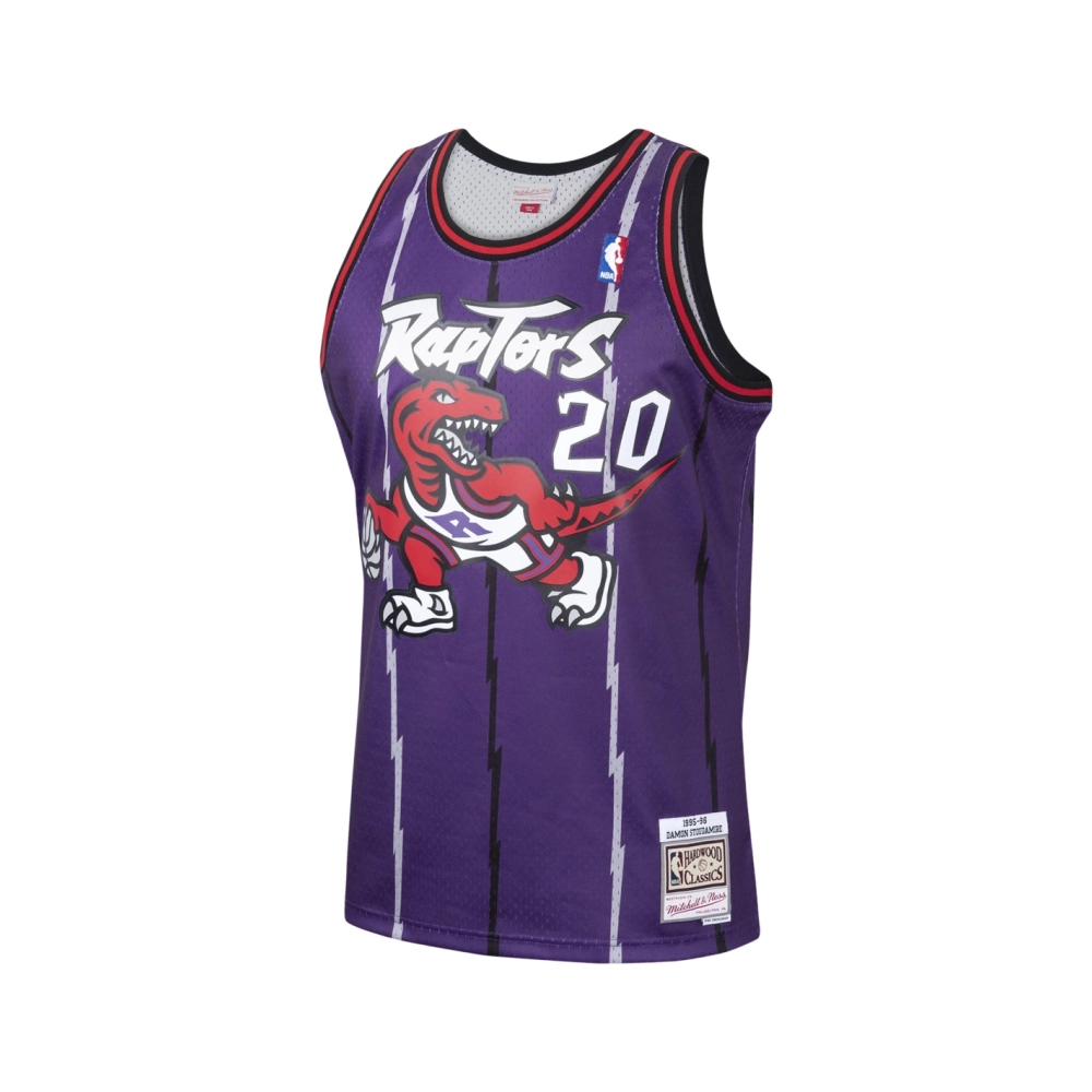Mens Toronto Raptors Damon Stoudamire Purple 1995 96 Hardwood Classics Swingman Jersey,Toronto Raptors,NBA,JERSEY with free ship