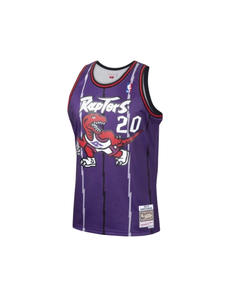Mens Toronto Raptors Damon Stoudamire Purple 1995 96 Hardwood Classics Swingman Jersey,Toronto Raptors,NBA,JERSEY with free ship