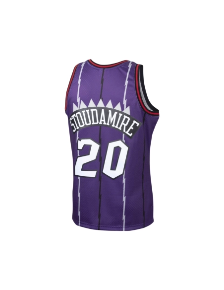 Mens Toronto Raptors Damon Stoudamire Purple 1995 96 Hardwood Classics Swingman Jersey,Toronto Raptors,NBA,JERSEY with free ship